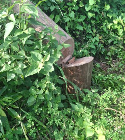 WhatsApp Image 2025-11-26 at 11.34.13 AM